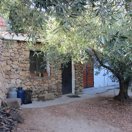 Casa In Campagna Hotel Dorgali Ngoại thất bức ảnh
