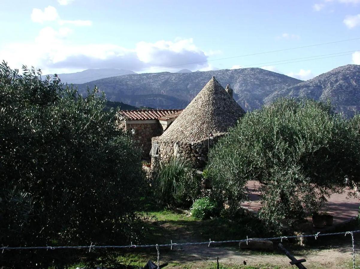 Casa In Campagna Hotel Dorgali Ngoại thất bức ảnh