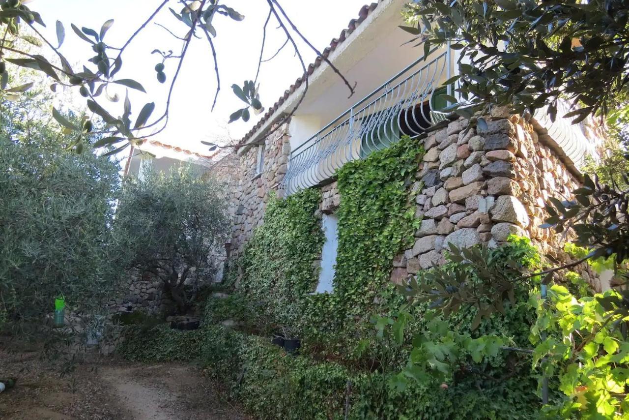 Casa In Campagna Hotel Dorgali Ngoại thất bức ảnh