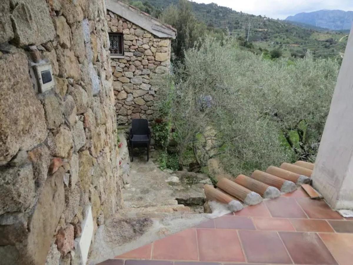 Casa In Campagna Hotel Dorgali Ngoại thất bức ảnh