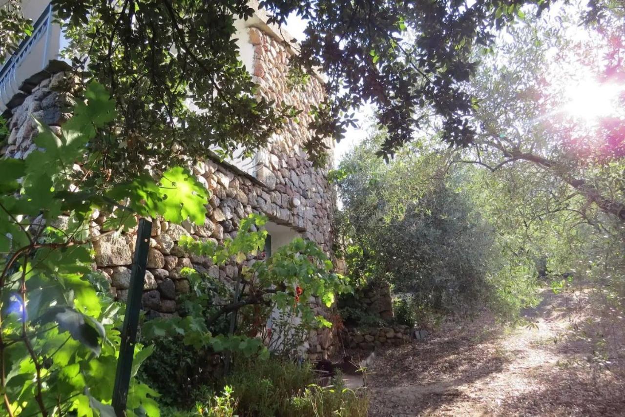Casa In Campagna Hotel Dorgali Ngoại thất bức ảnh